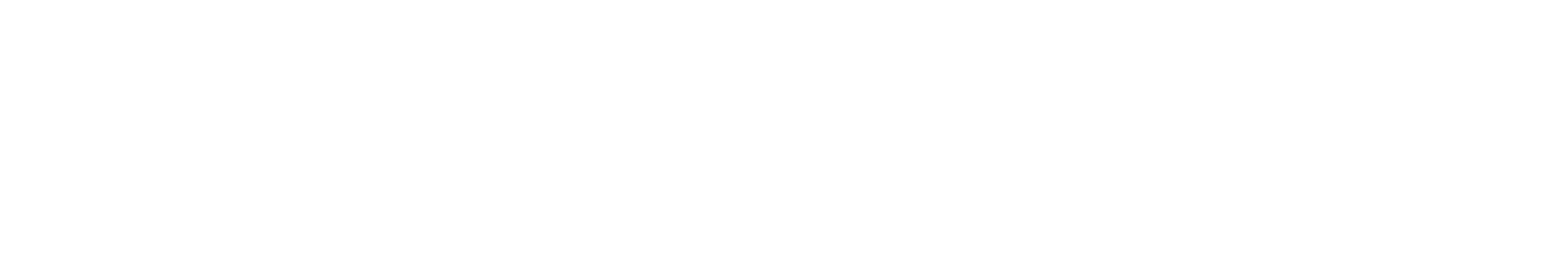FAHNA Group Logo